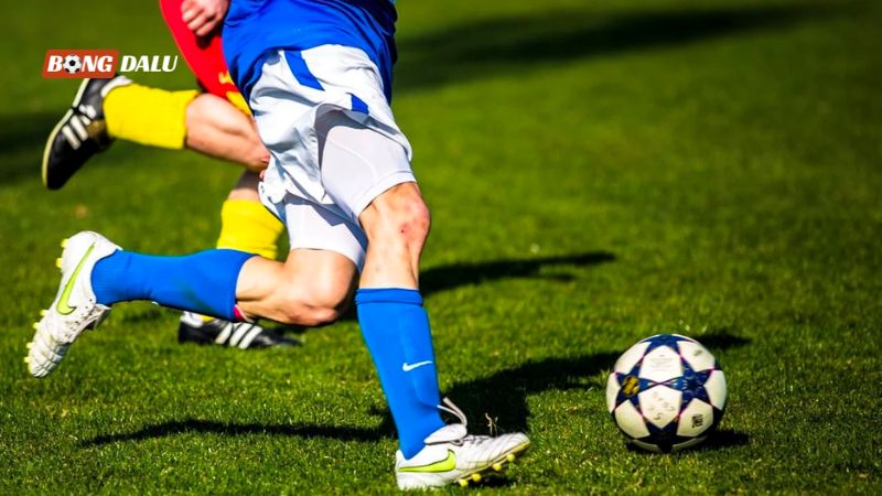 Cách soi Odds hiệu quả Cách soi Odds hiệu quả